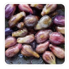 Grape Seed