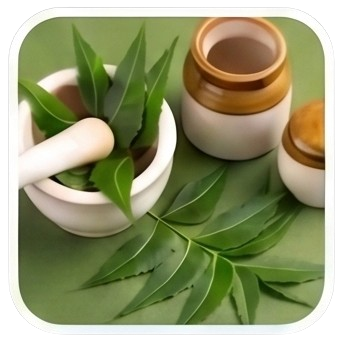 Neem Oil