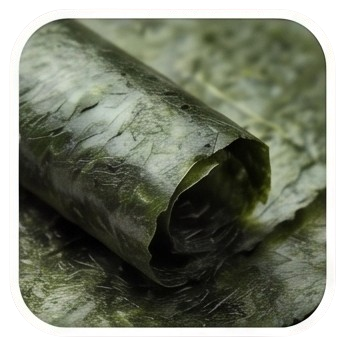 Nori Yaki